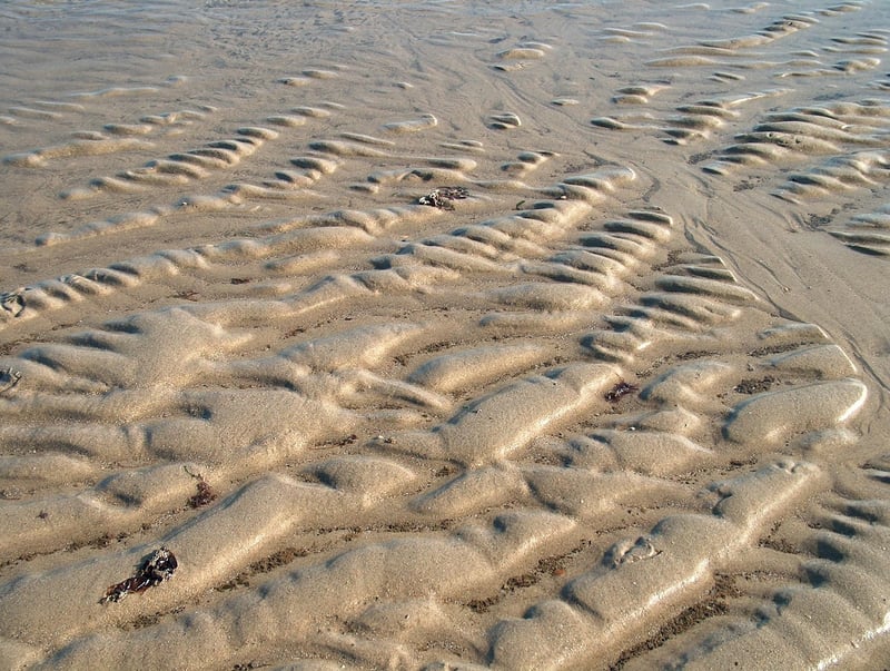 Drought-Resistant Landscaping